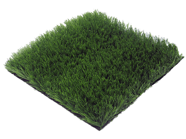 EURO GRASS