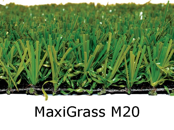 MAXI GRASS